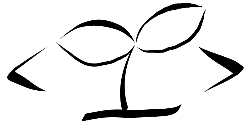 Chris Zhang logo